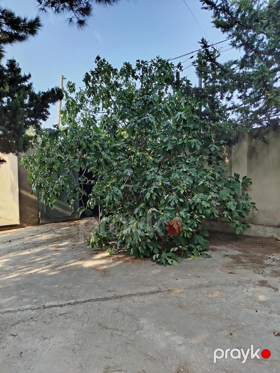 İcarəyə verilir 6 otaqlı həyət evi/bağ evi 480 m² — Ev, villa, Bakı (3)
