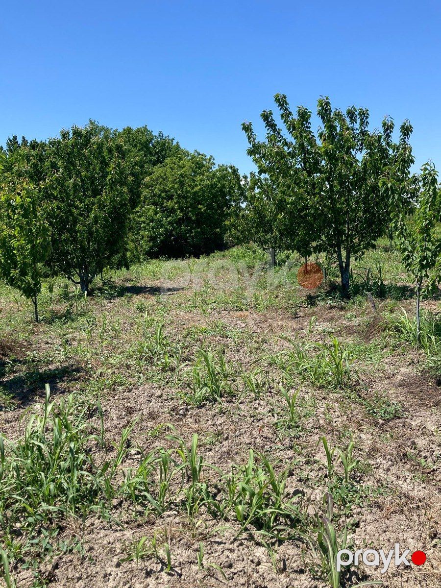 Satılır torpaq 108 sot — Torpaq, Xaçmaz (9)