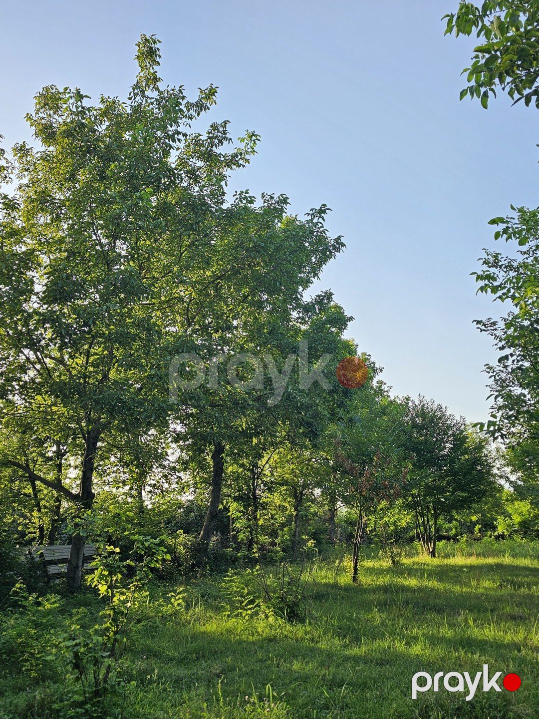 Satılır torpaq 32 sot — Torpaq, Qəbələ (6)