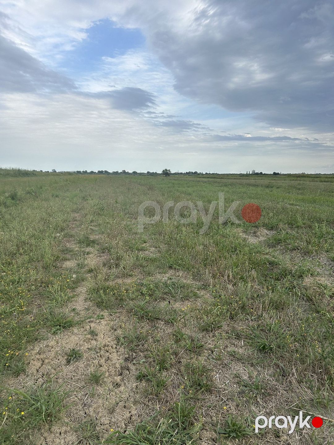 1200 sot torpaq sahəsi, Salyan r — Torpaq, Salyan (7)