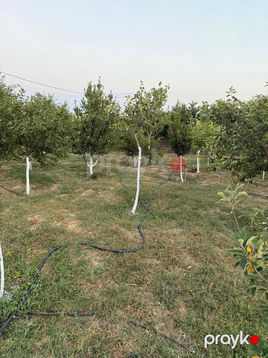 Satılır 1 otaqlı həyət evi/bağ evi 45 m² — Ev, villa, Bakı (6)