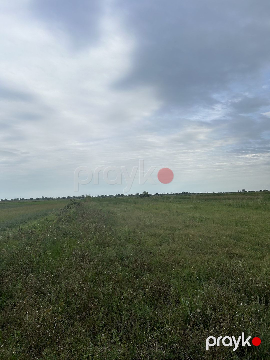 1200 sot torpaq sahəsi, Salyan r — Torpaq, Salyan (10)