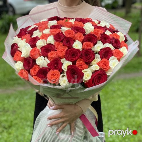 101 qızılgül parlaq qarışıq - kod 7171 — Bitkilər, Bakı (4)
