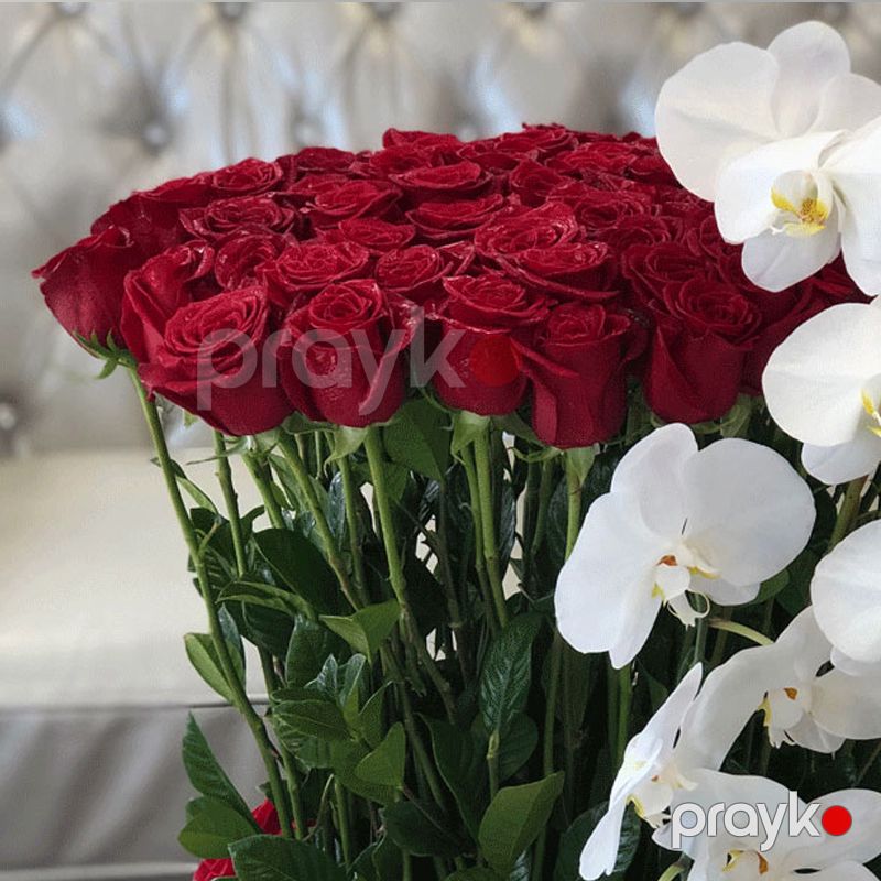 Qızılgül və Orxideya - code:5038 — Bitkilər, Bakı (2)