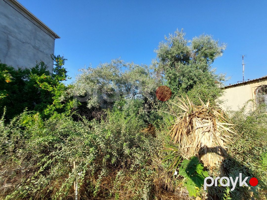 Satılır 3 otaqlı həyət evi/bağ evi 90 m² — Ev, villa, Bakı (8)