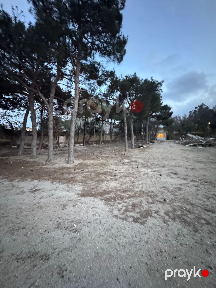 Satılır torpaq 144 sot — Torpaq, Bakı (4)