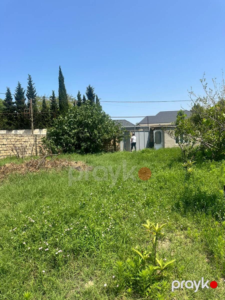 Satılır torpaq 3 sot — Torpaq, Bakı (8)