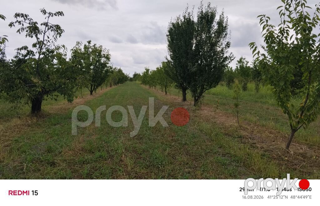 Kənd təsərrüfatı, Kommunal xətlər qoşulmayıb — Torpaq, Xaçmaz (2)
