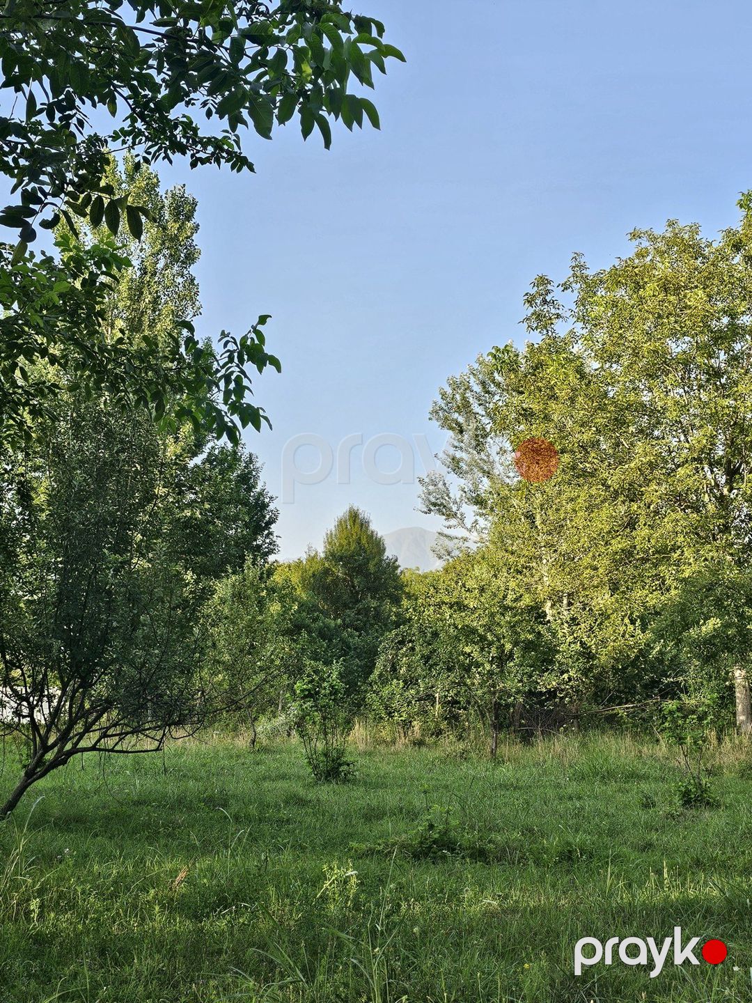 Satılır torpaq 32 sot — Torpaq, Qəbələ (7)
