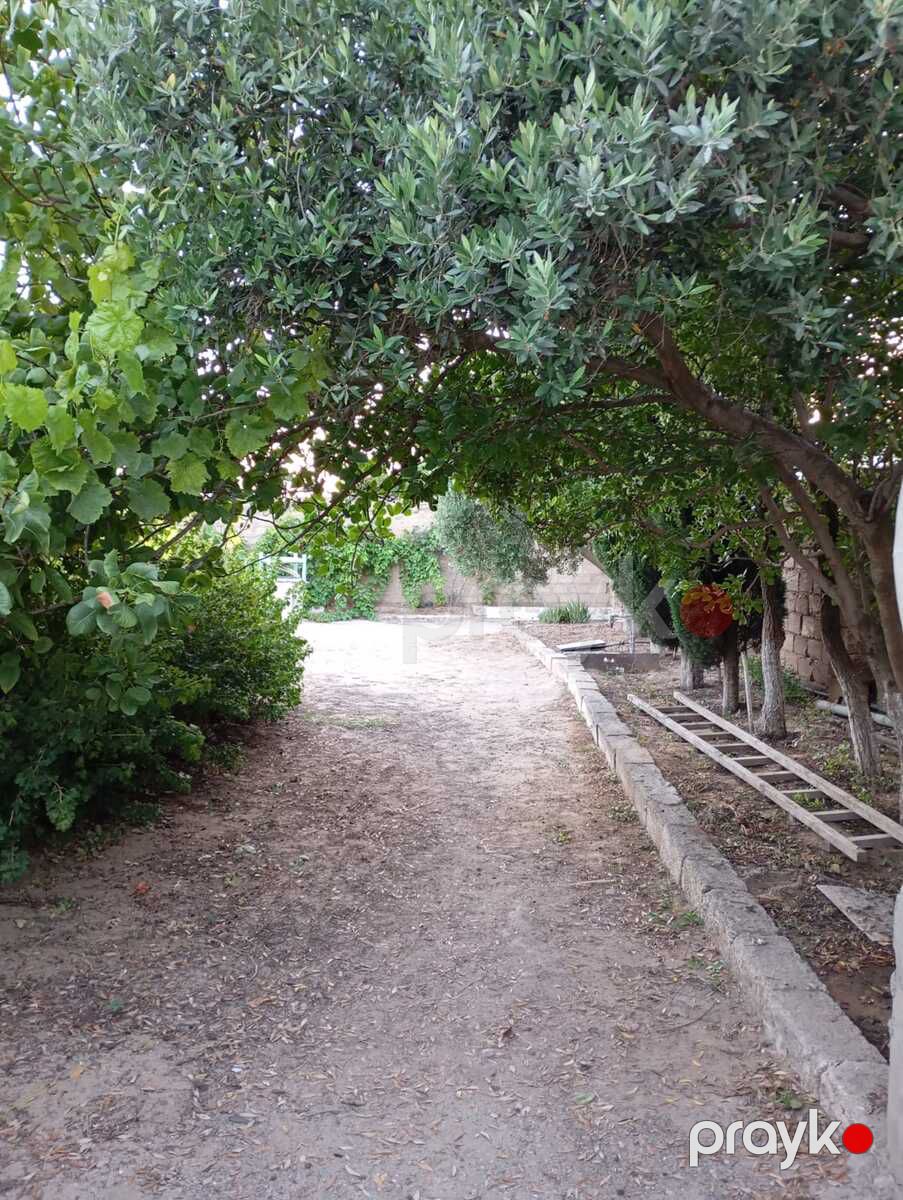 Bağ evi kirayə verilir, Sabunçu r — Ev, villa, Bakı (2)