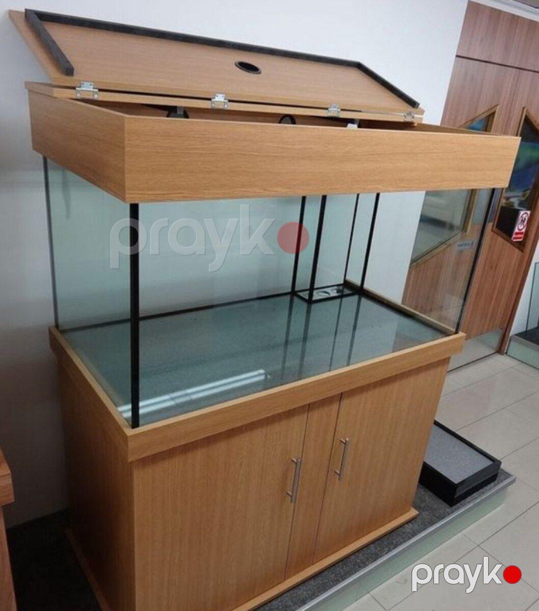 Akvarium — Akvariumlar və balıqlar, Sumqayıt (4)