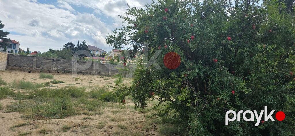 4 sot, Tikinti, Mülkiyyətçi, Kupça (Çıxarış) — Torpaq, Novxanı (2)
