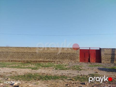 138 sot, Kənd təsərrüfatı, Mülkiyyətçi, Kupça (Çıxarış) — Masazır