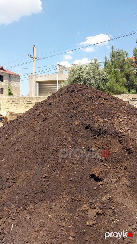Qara torpaq peyin — Bakı