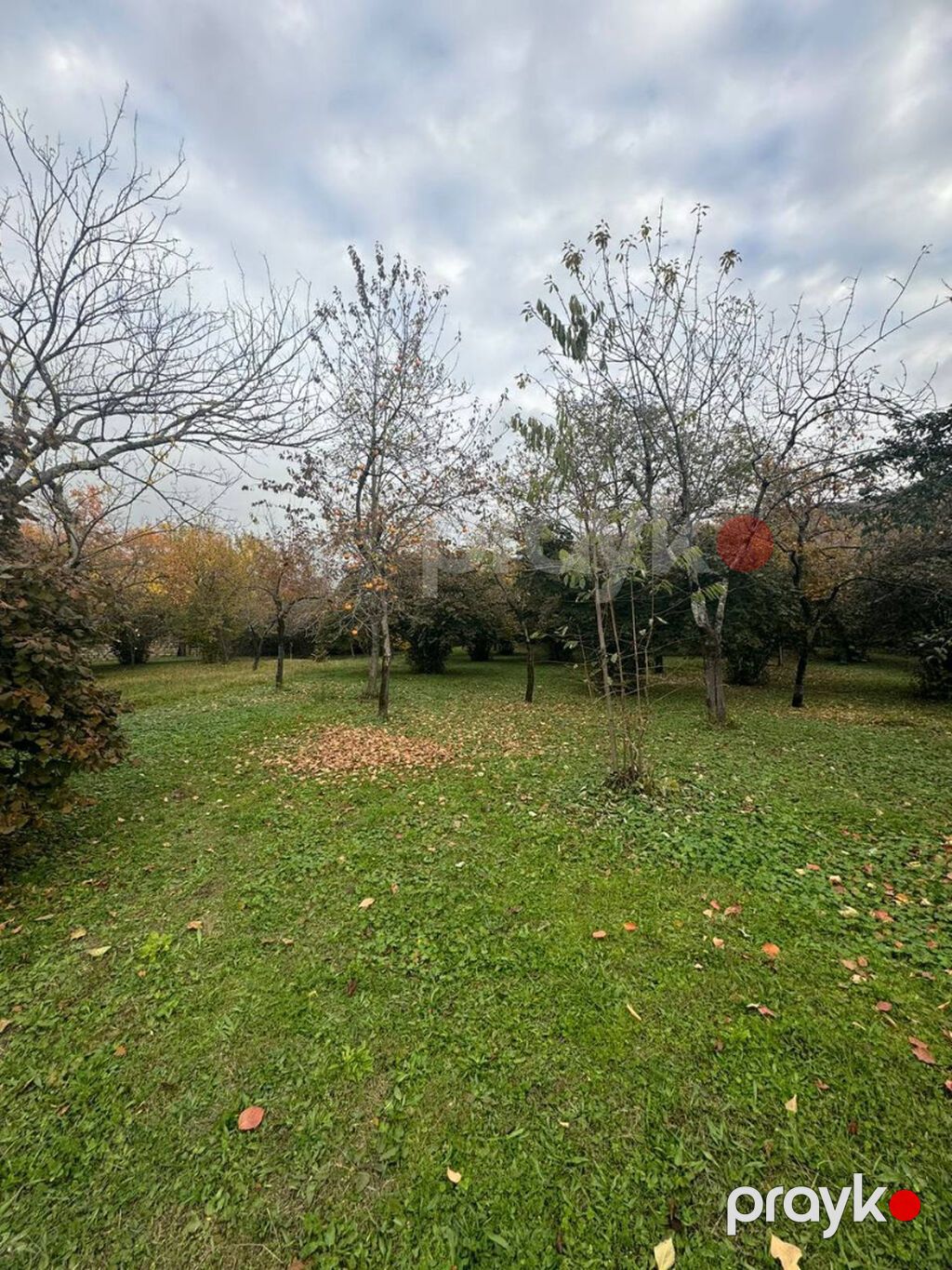30 sot, Biznes üçün, Barter mümkündür, Kupça (Çıxarış), Texniki pasport — Torpaq, Zaqatala (3)