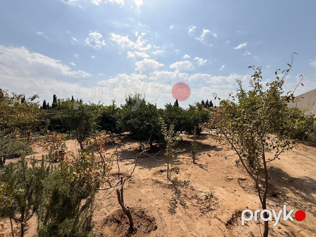 Satılır torpaq 5 sot — Torpaq, Bakı (5)