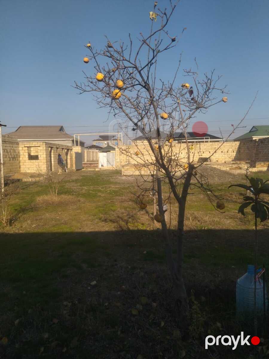 6 sot torpaq sahəsi, Şirvan ş — Torpaq, Şirvan (5)