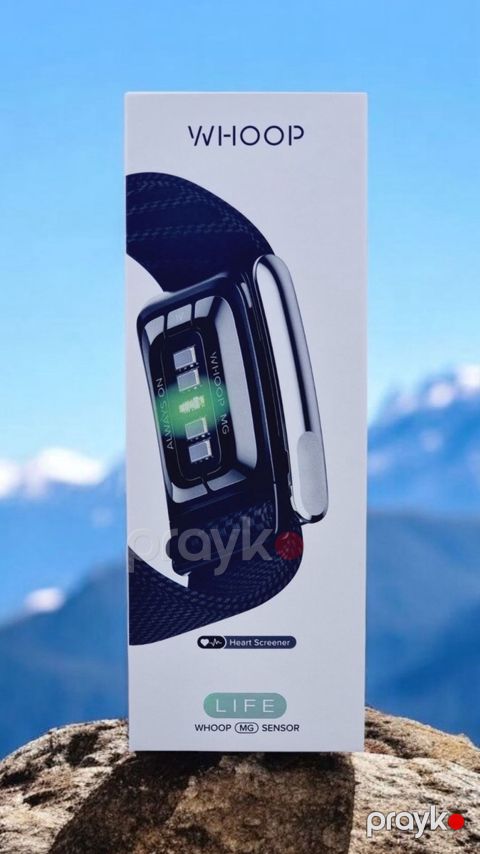 Whoop Life — Bakı
