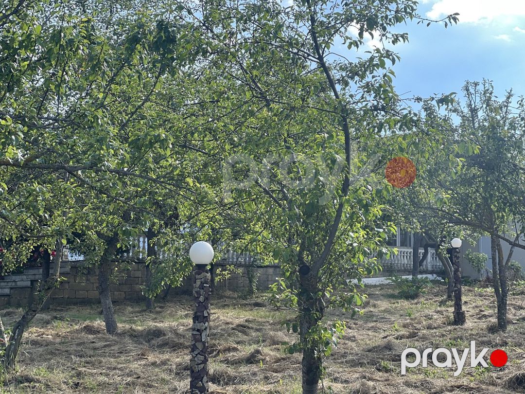 Satılır 7 otaqlı həyət evi/bağ evi 210 m² — Ev, villa, Şamaxı (3)