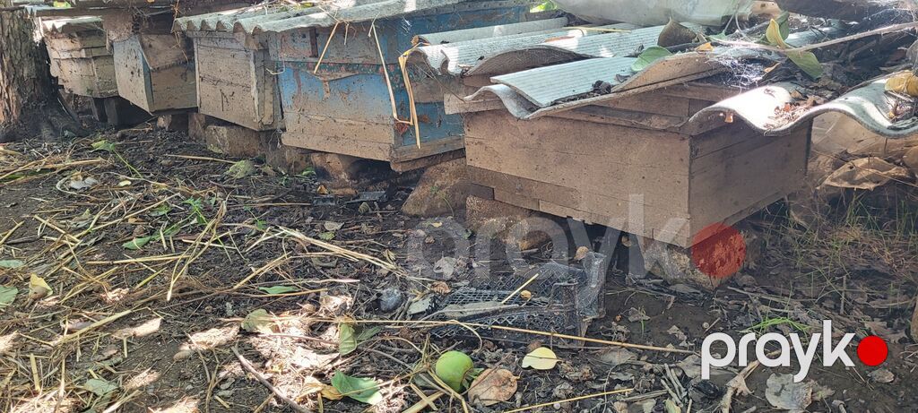 Arı pətəkləri və arıçılıq avadanlıqları satılır 10 ədəddən çoxdur — Kənd təsərrüfatı avadanlığı, Tovuz (2)