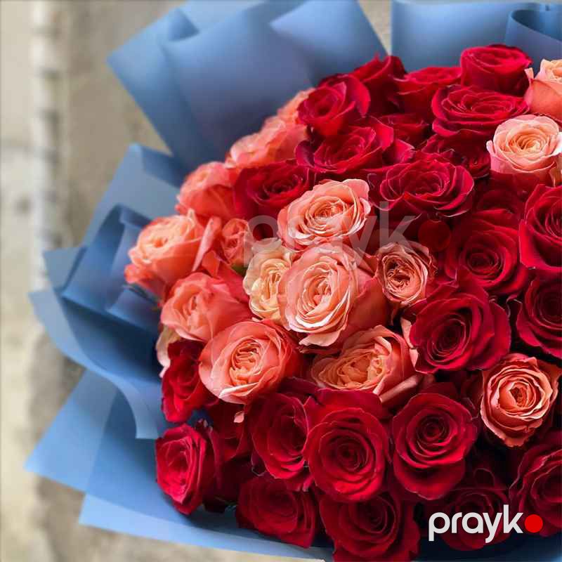 49 Ekvador qızılgülləri - code:5020 — Bitkilər, Bakı (2)