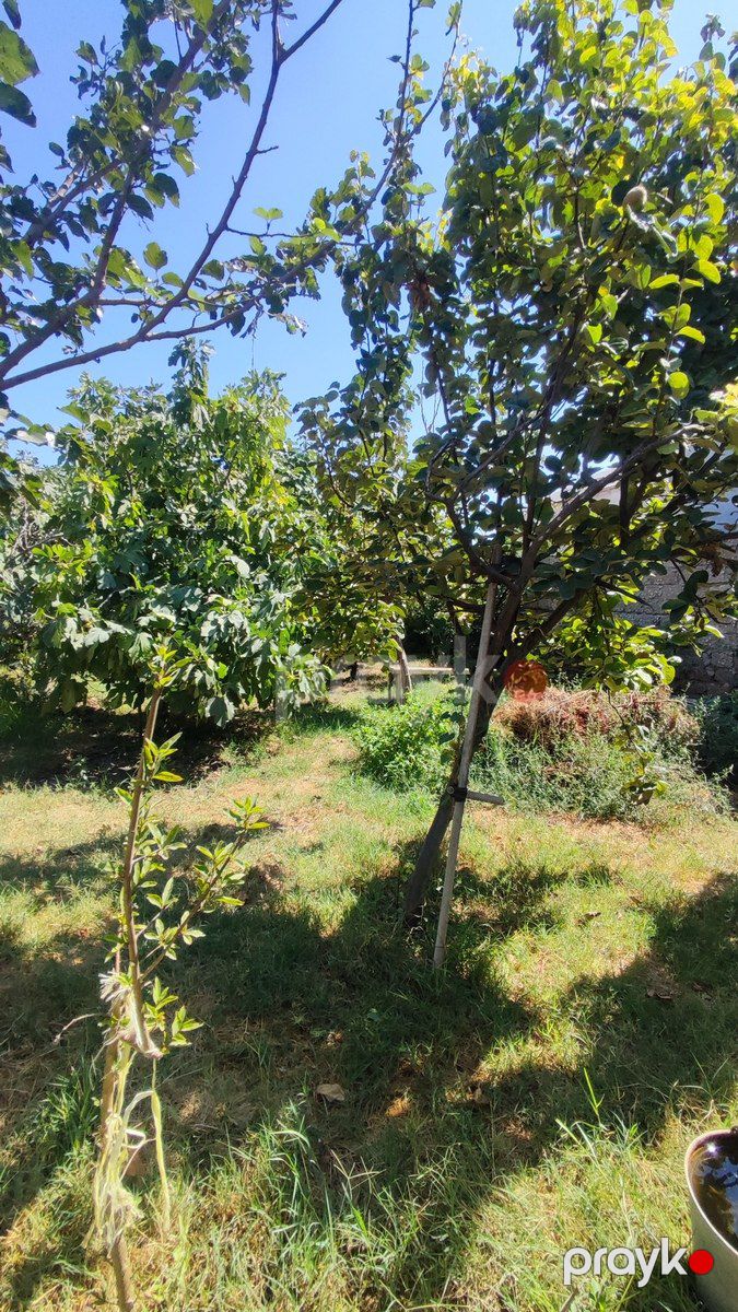 Satılır 4 otaqlı həyət evi/bağ evi 120 m² — Ev, villa, Bakı (4)