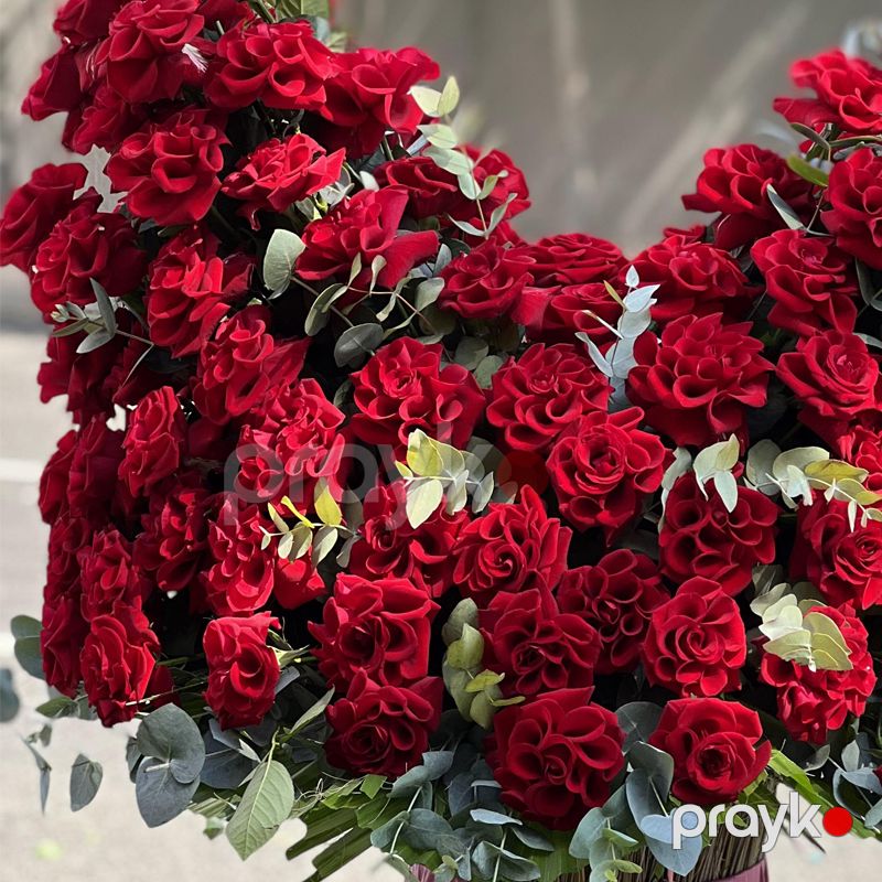 Qırmızı Qızılgüllər - code:5068 — Bitkilər, Bakı (2)