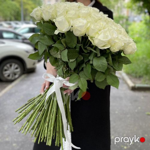 101 ağ qızılgül Premium - kod 4141 — Bitkilər, Bakı (2)