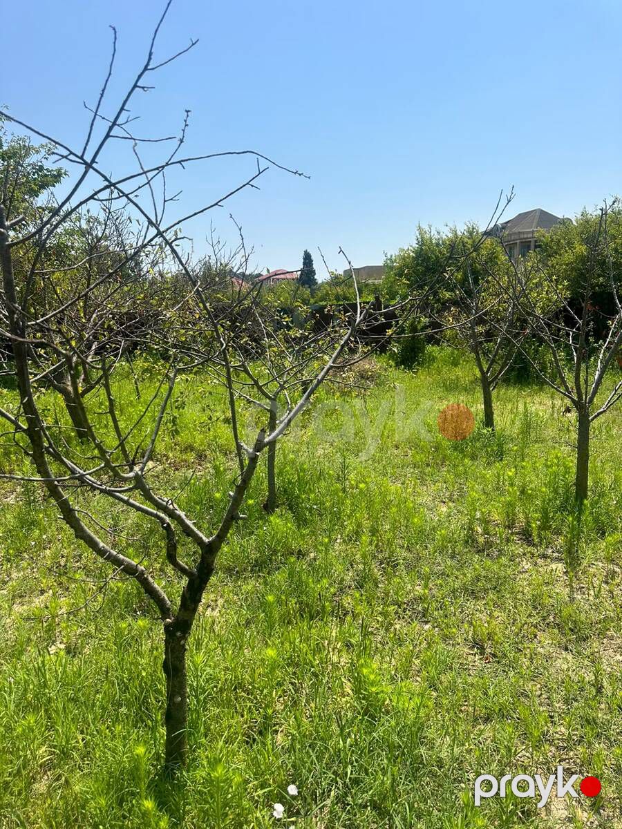 Satılır torpaq 3 sot — Torpaq, Bakı (2)