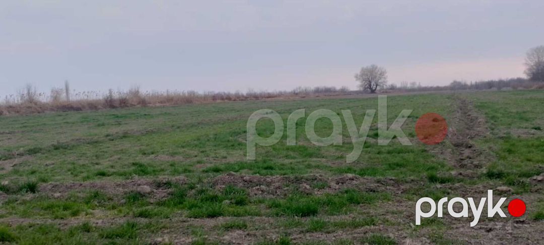 Satılır torpaq 440 sot — Torpaq, Xaçmaz (6)