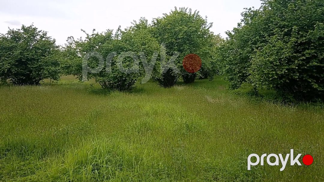 180 sot torpaq sahəsi, Zaqatala r — Torpaq, Zaqatala (2)