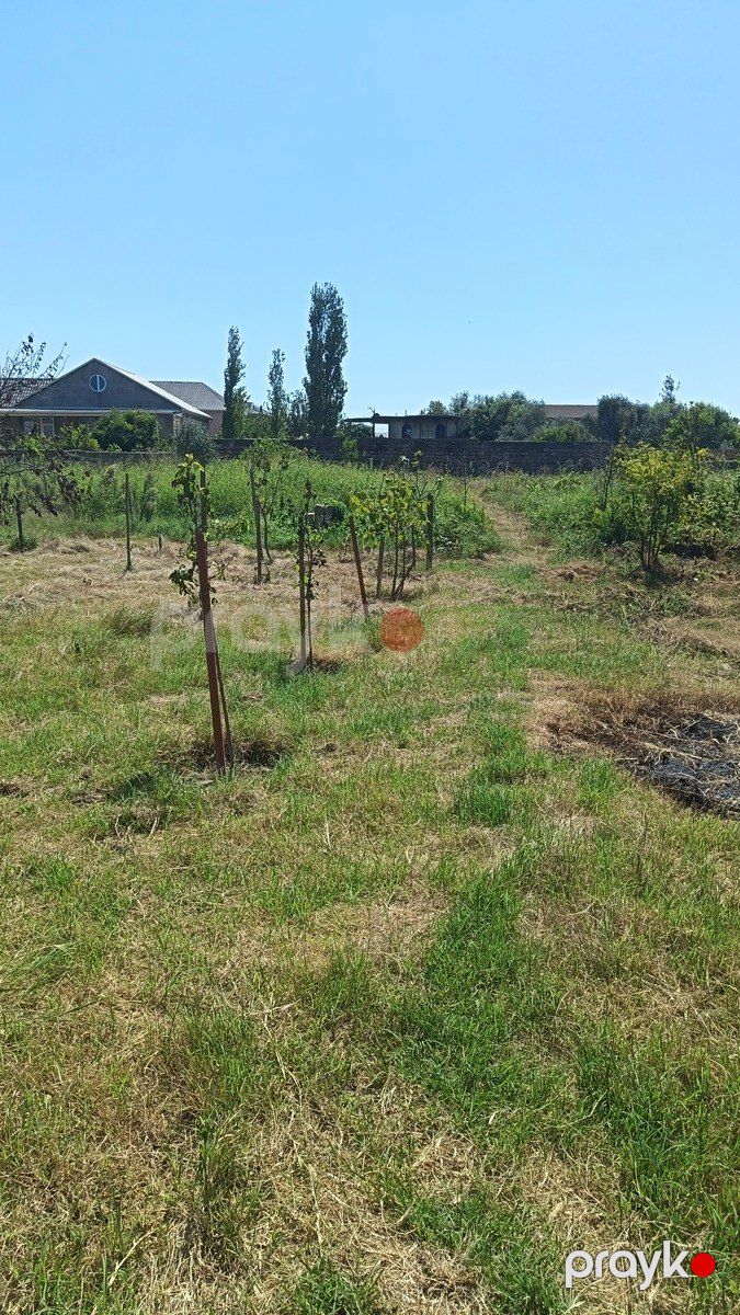 Satılır torpaq 5 sot — Torpaq, Bakı (3)