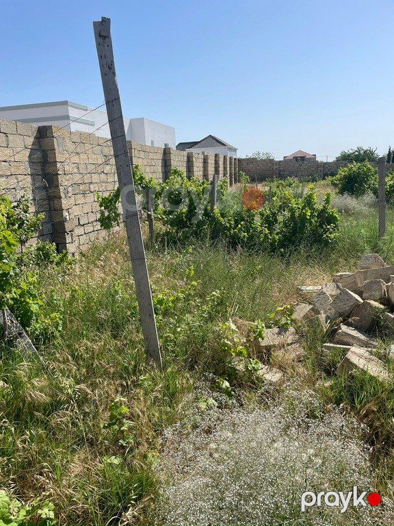 Satılır torpaq 12 sot — Torpaq, Bakı (2)