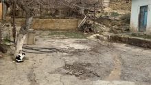 4 sot Torpaq, Satış, Bakı, Qaradağ — Torpaq, Bakı (6)