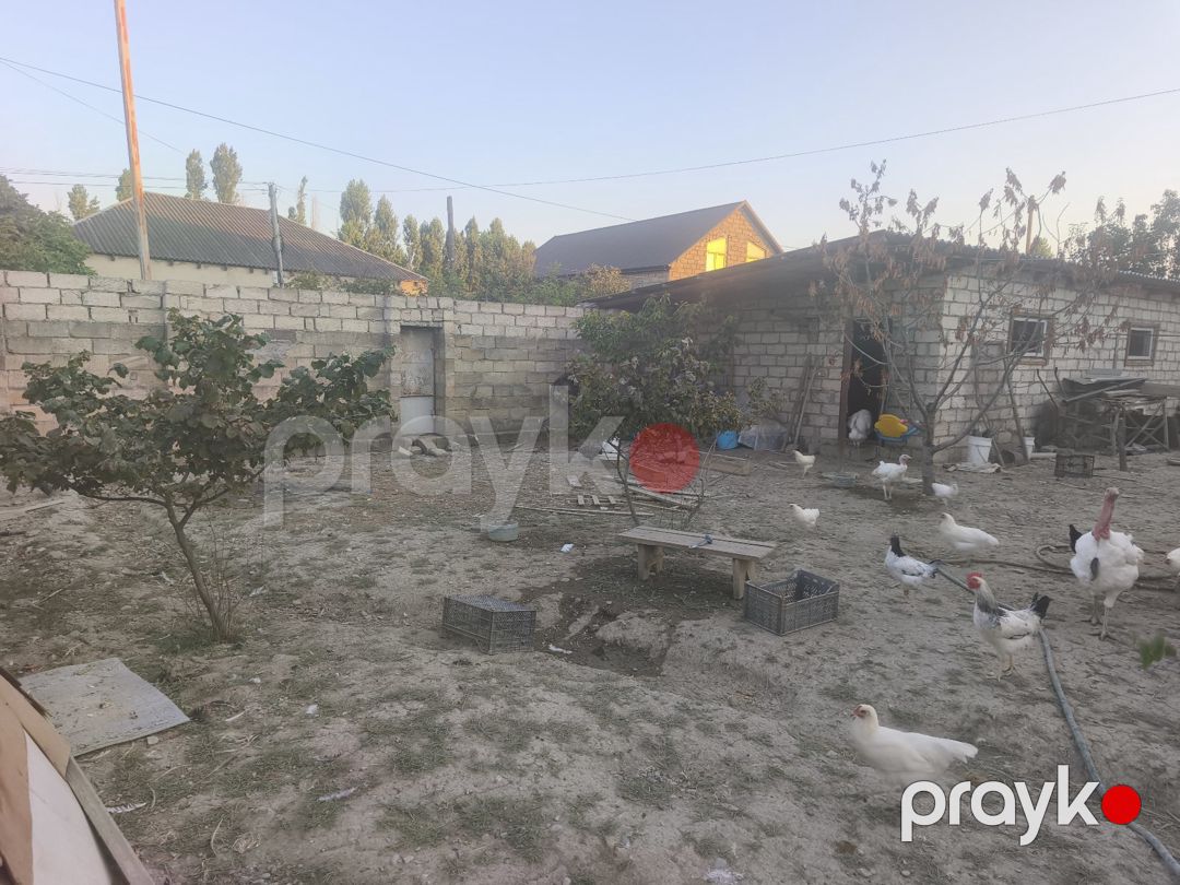 2 sot torpaq sahəsi, Xaçmaz r — Torpaq, Xaçmaz (3)