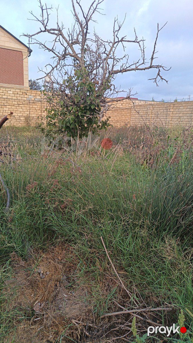 Satılır torpaq 5 sot — Torpaq, Bakı (3)