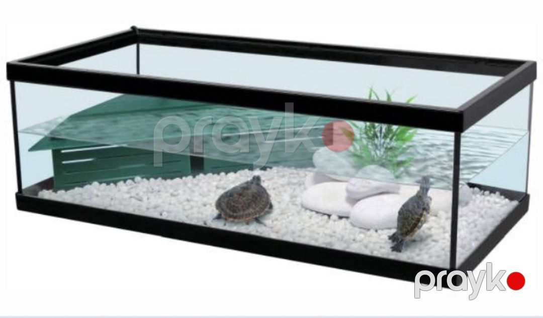Su və quru tısbağaları terrariumlar — Digər heyvanlar, Sumqayıt (7)