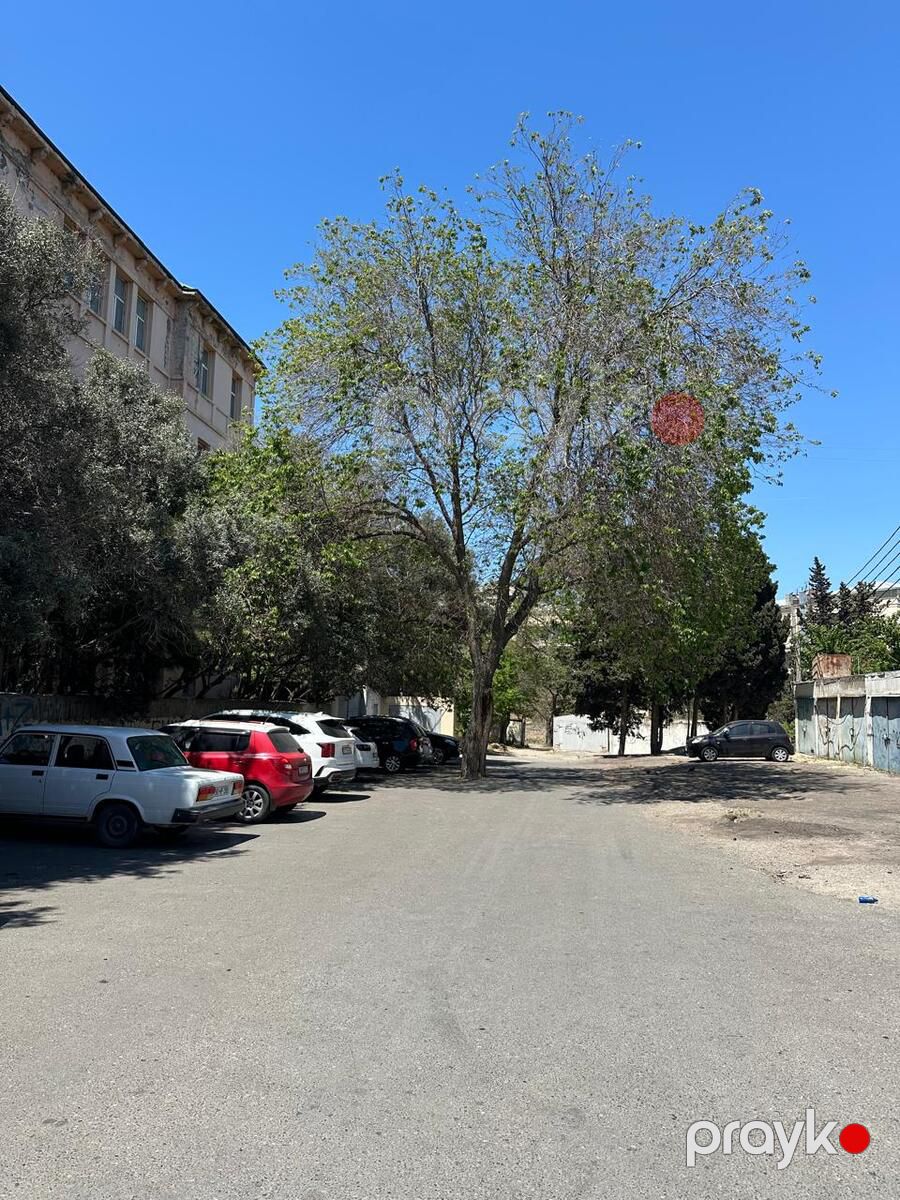 1-otaqlı yeni tikili, Yasamal r., 40 m² — Mənzil, Bakı (12)