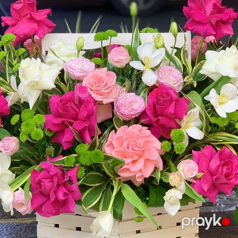 Yeşikdə kompozisiya - code:8028 — Bitkilər, Bakı (2)