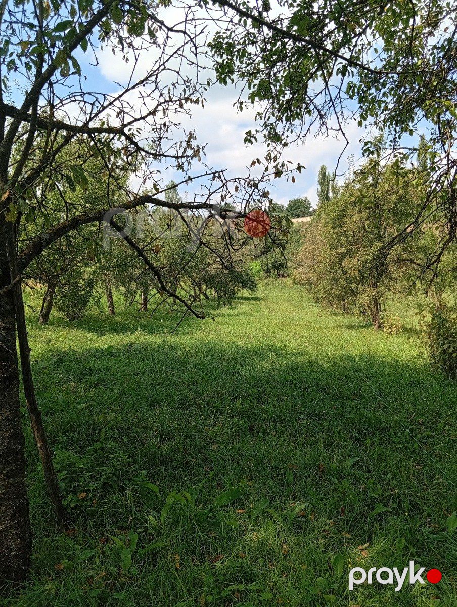 Satılır torpaq 10 sot — Torpaq, Qusar (3)
