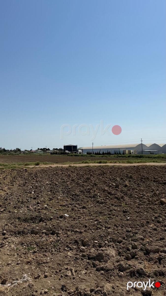 Satılır torpaq 300 sot — Torpaq, Bakı (2)