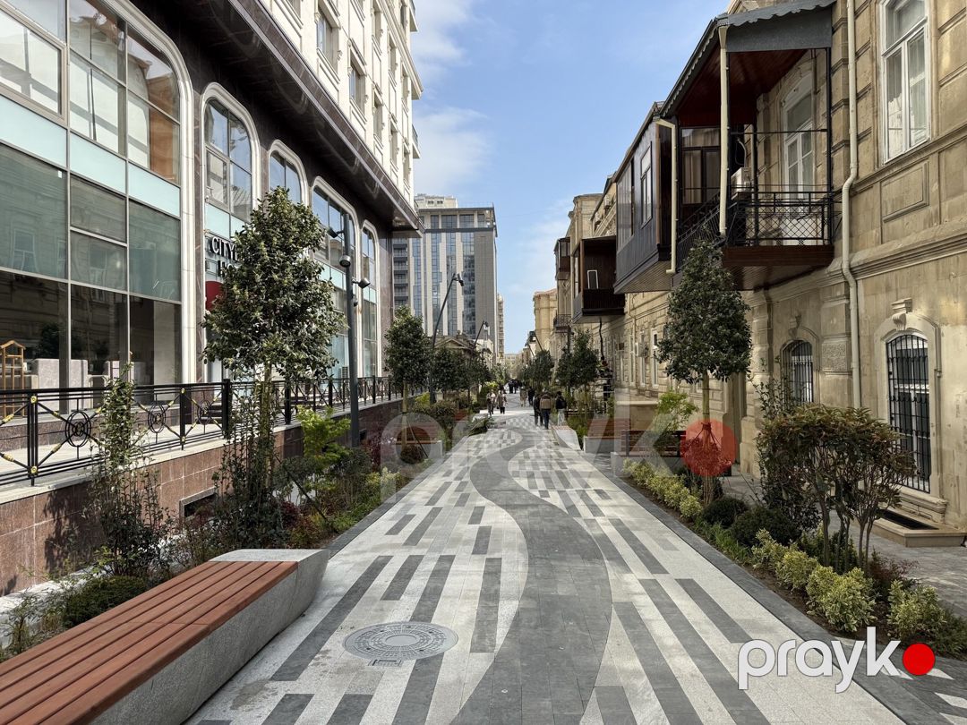 Satılır 4 otaqlı yeni tikili 246 m² — Mənzil, Bakı (4)