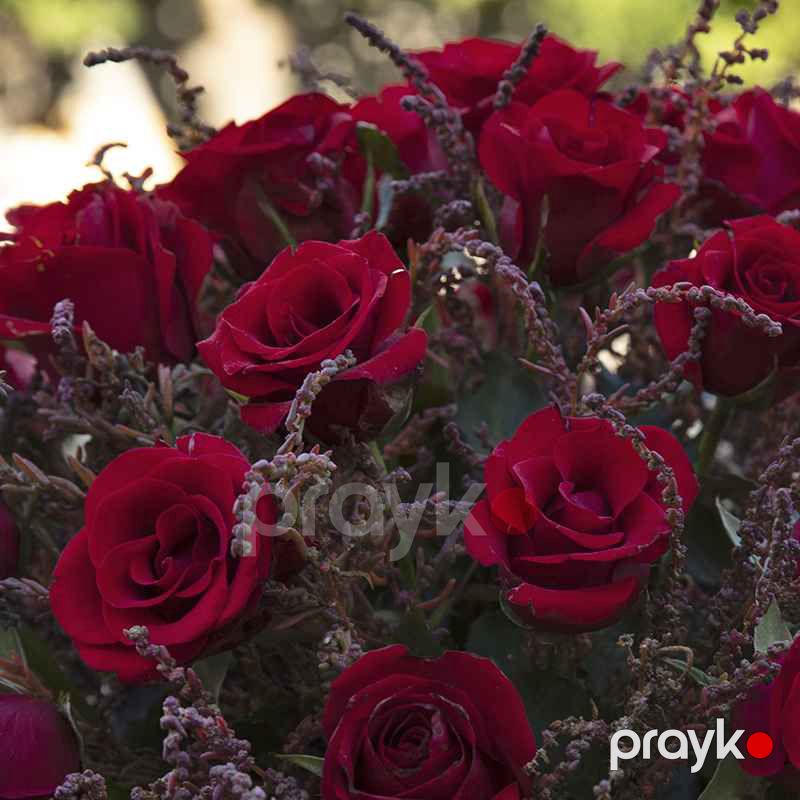 Qutuda Qızılgüllər - code:5066 — Bitkilər, Bakı (3)