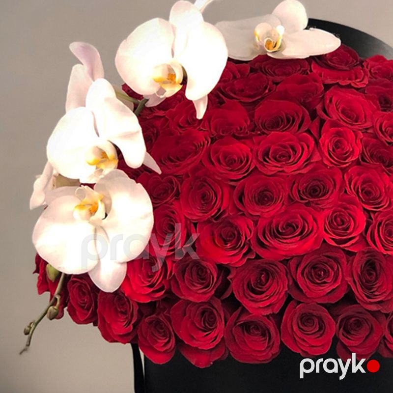 Qızılgül və Orxideya - code:5048 — Bitkilər, Bakı (2)