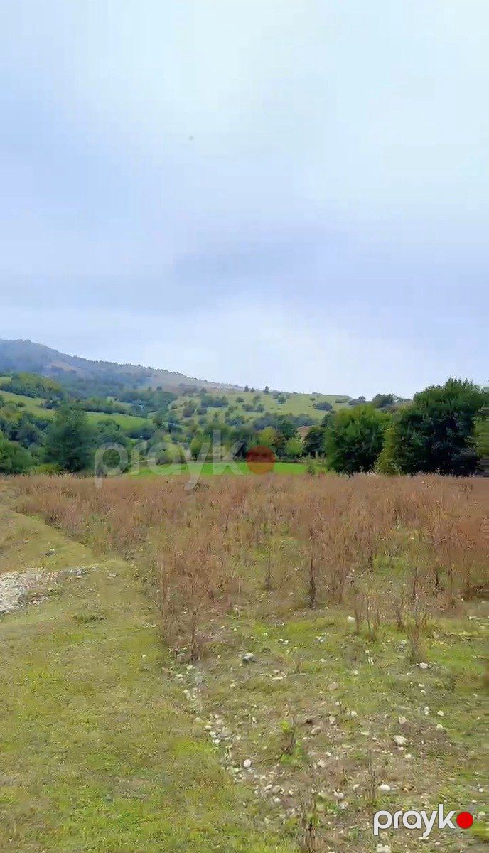Satılır torpaq 10 sot — Torpaq, Qusar (6)