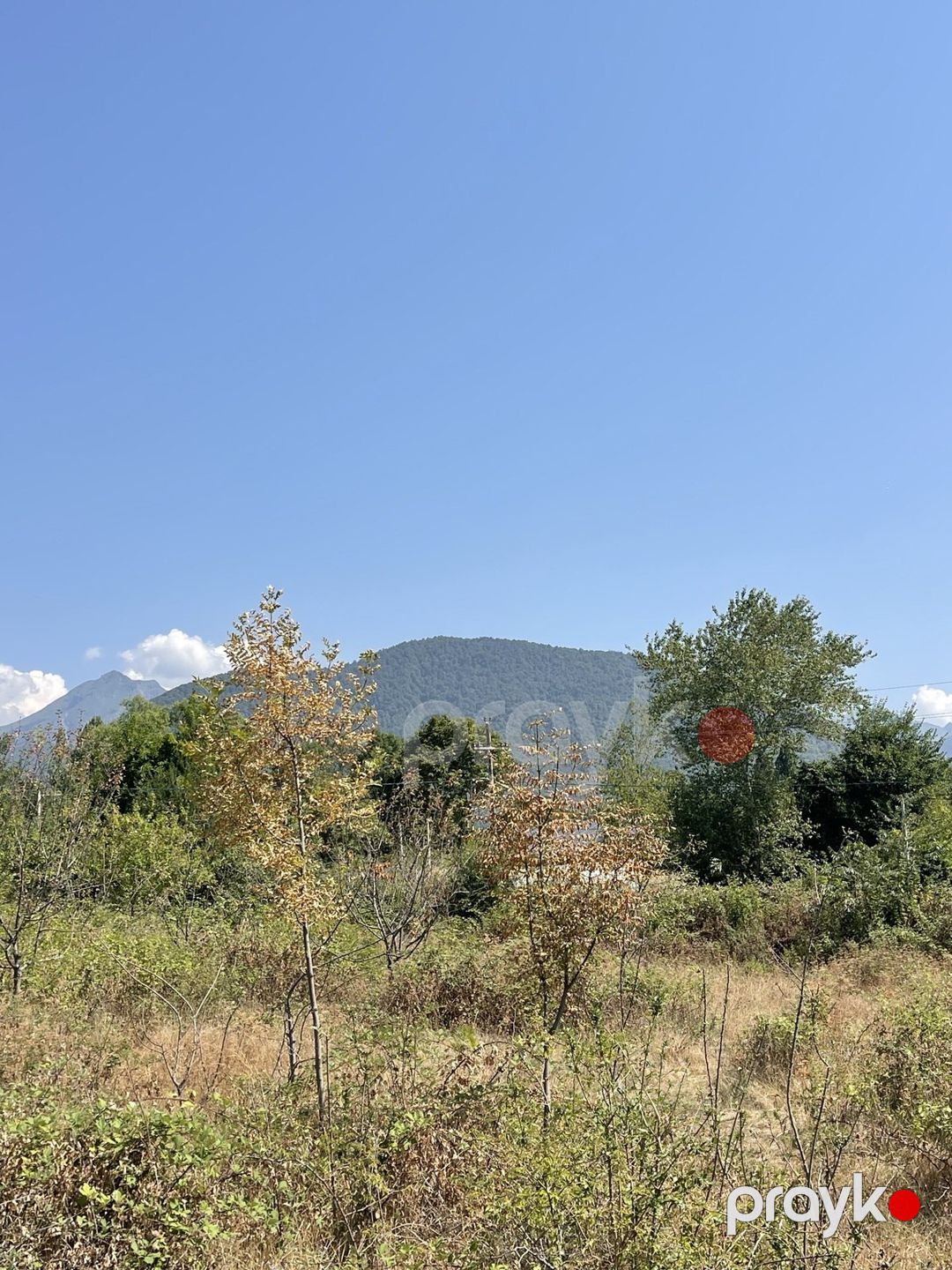 Satılır torpaq 7 sot — Torpaq, Qəbələ (3)