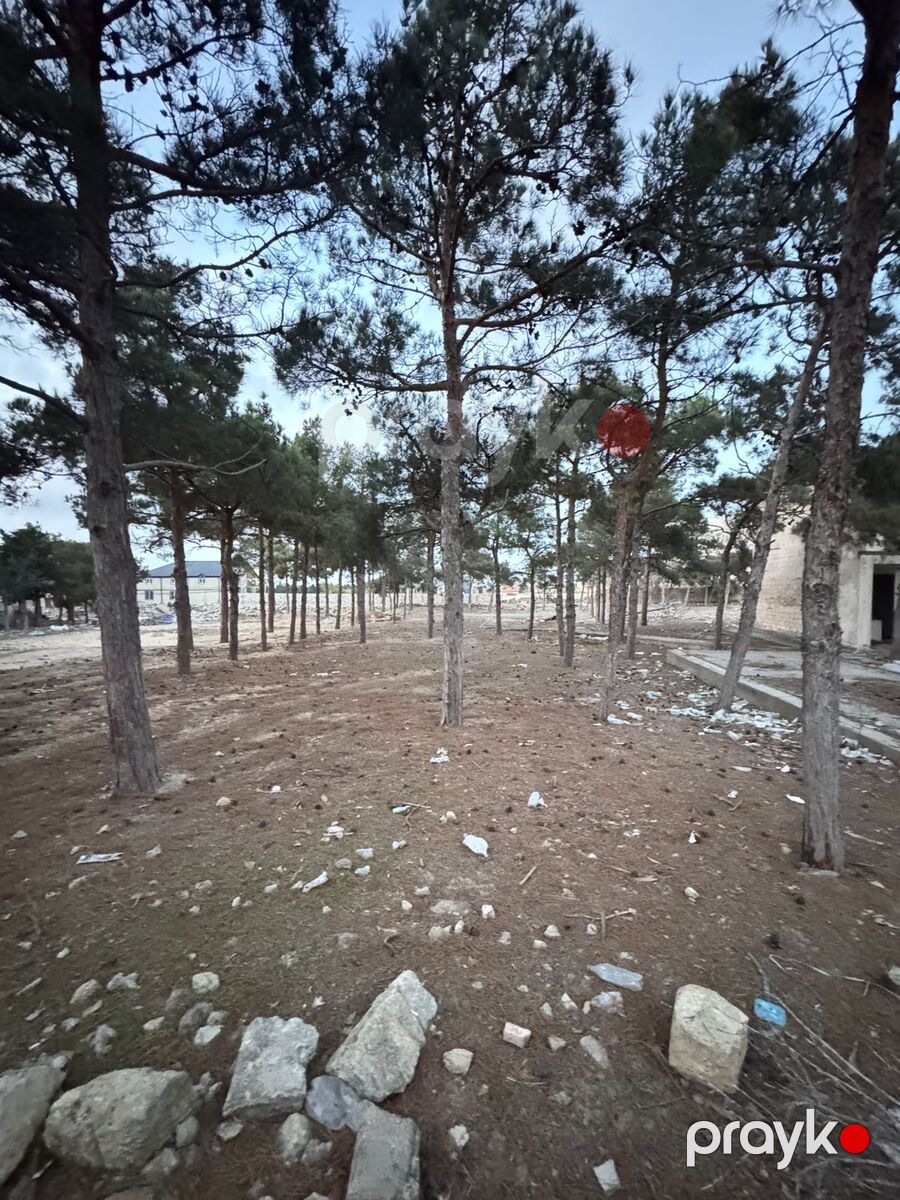 Satılır torpaq 144 sot — Torpaq, Bakı (2)