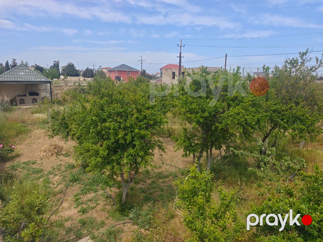 Satılır torpaq 7 sot — Torpaq, Bakı (2)