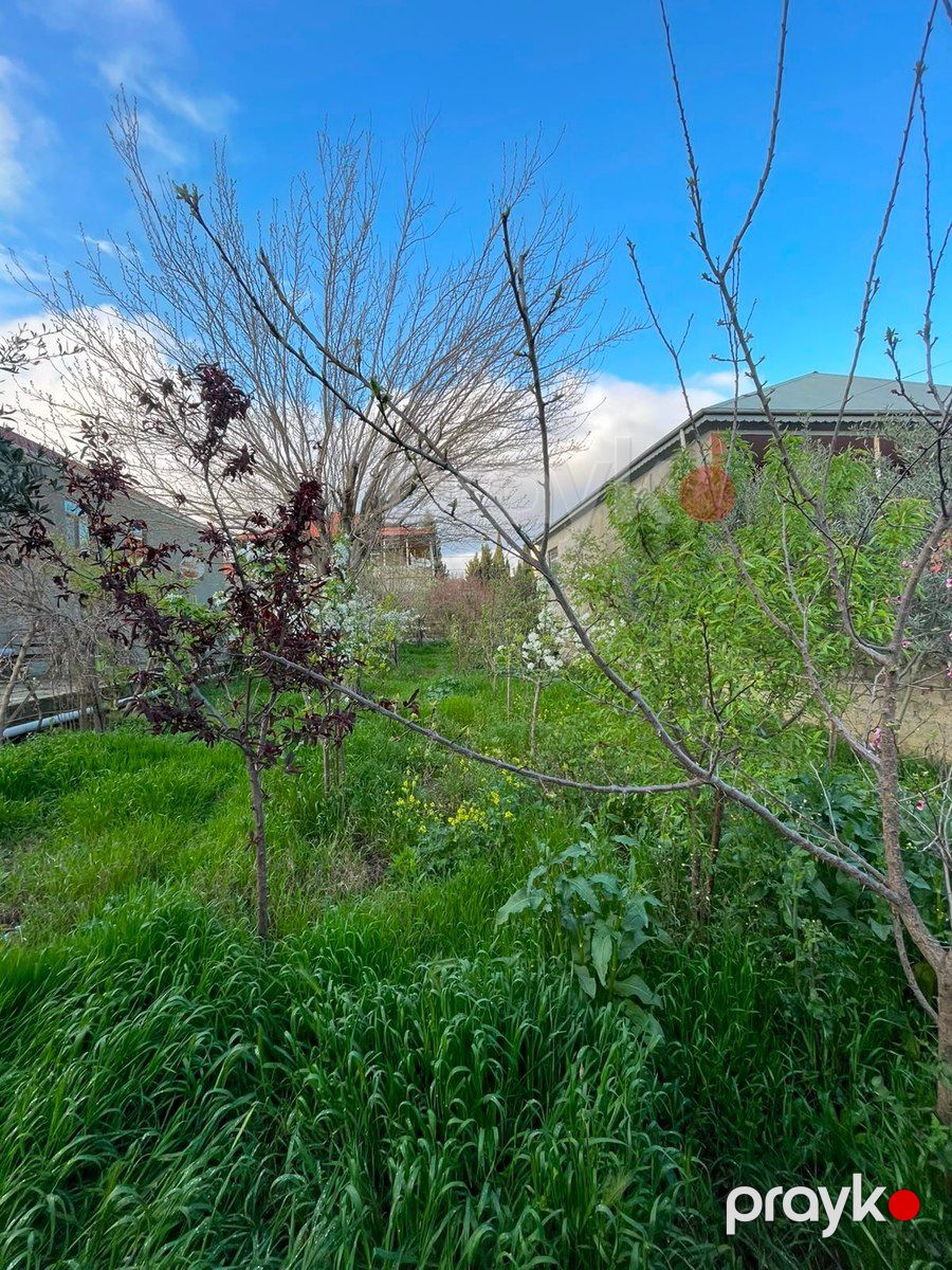 4 sot torpaq sahəsi, Xətai r — Torpaq, Bakı (6)