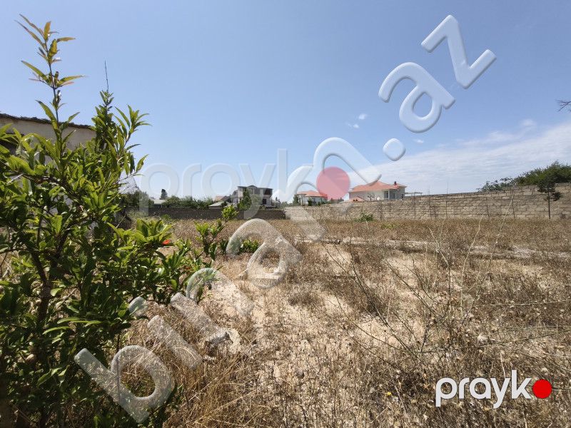 24 sot Torpaq, Satış, Bakı, Sabunçu — Torpaq, Bakı (6)